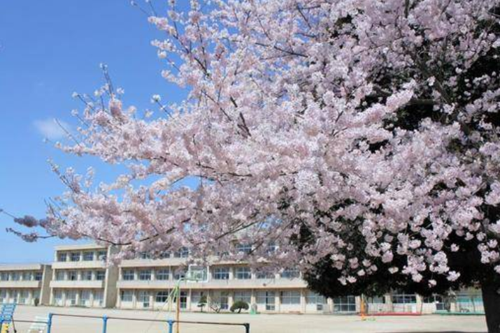 入学式シーズンですね！！