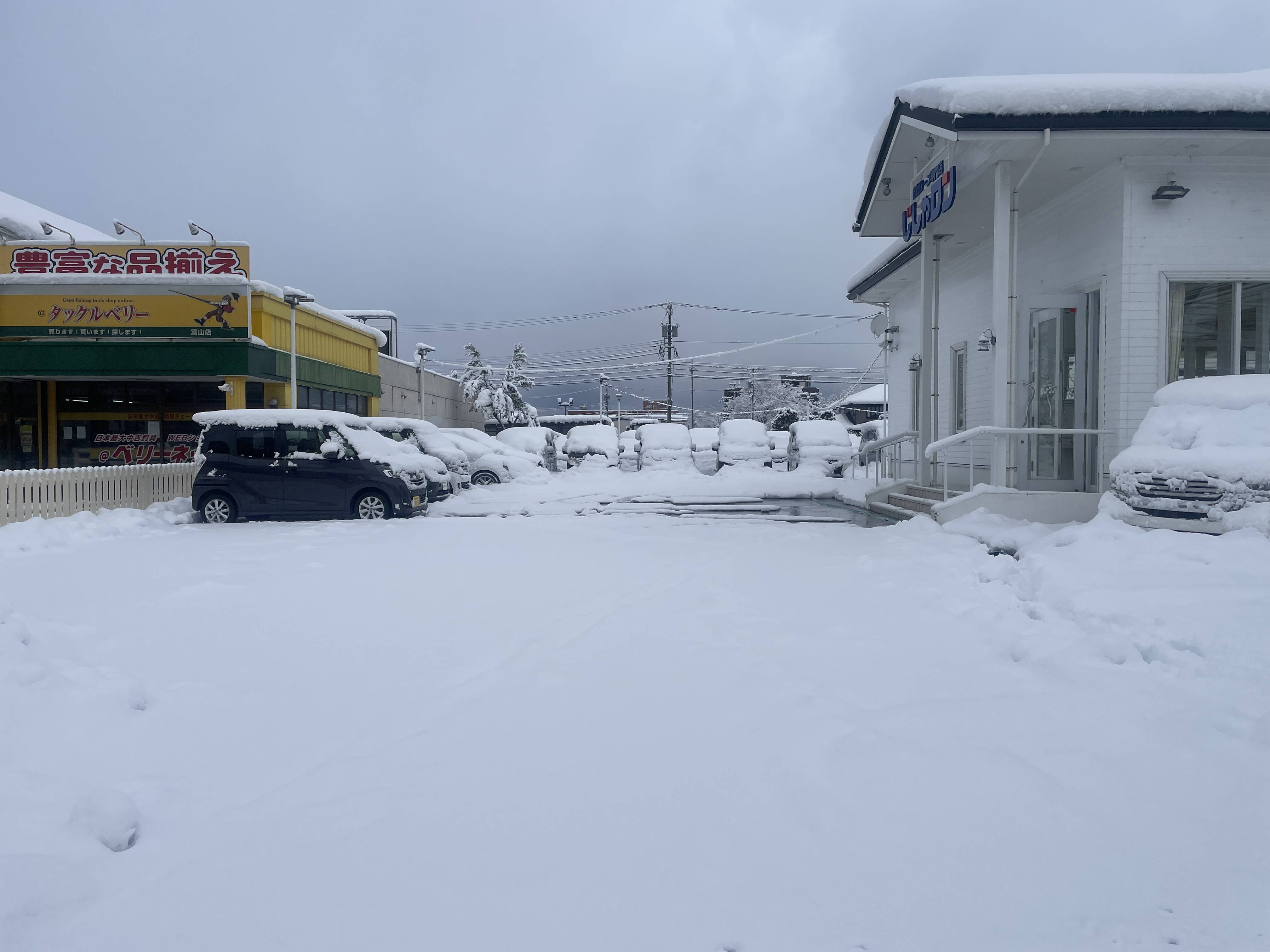 今日も雪かきから