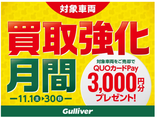 いいブーブーの日キャンペーン01