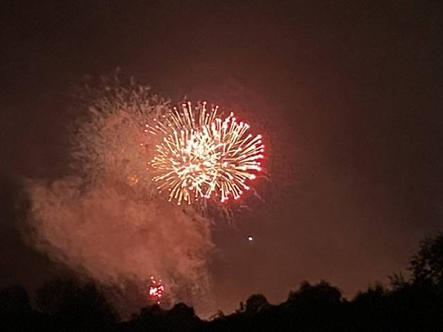 夜空に大輪の花
