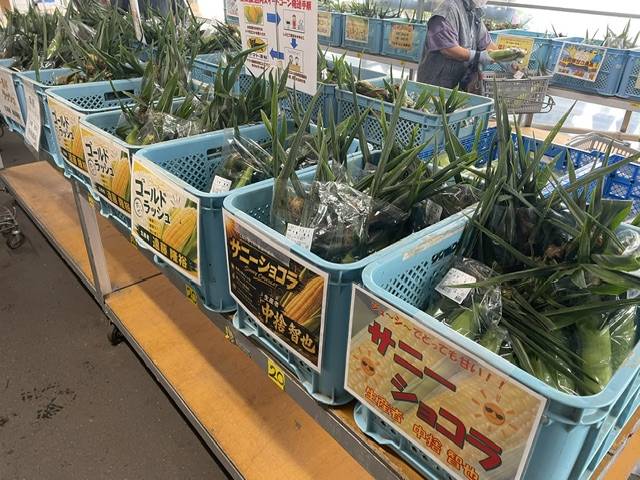 大地の恵み