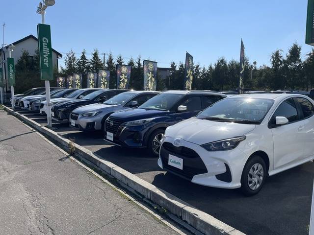 本日快晴です！