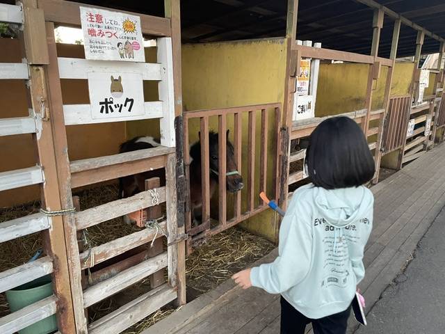 推し