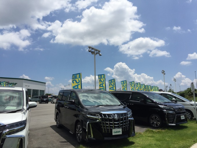 夏！！！いよいよですね♪