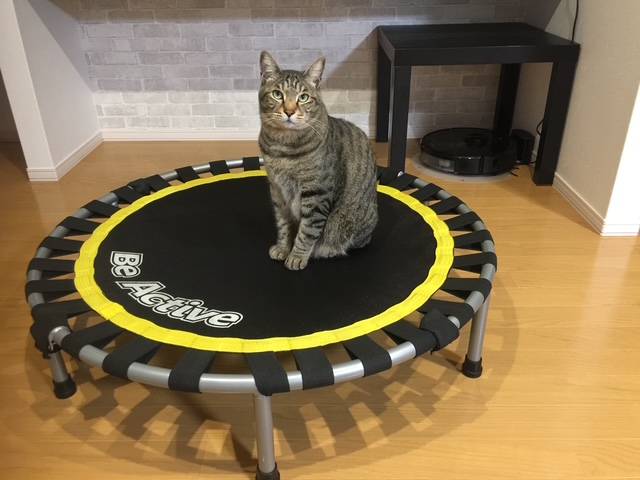 もういくつ寝ると～03