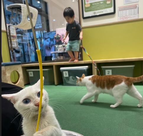 もういくつ寝ると～02