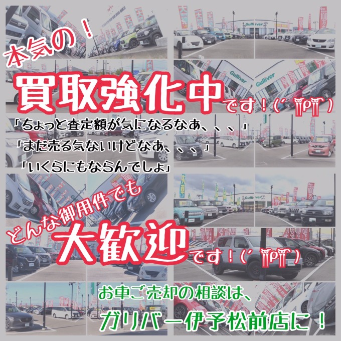 ！！いつもご愛顧ありがとうございます！！