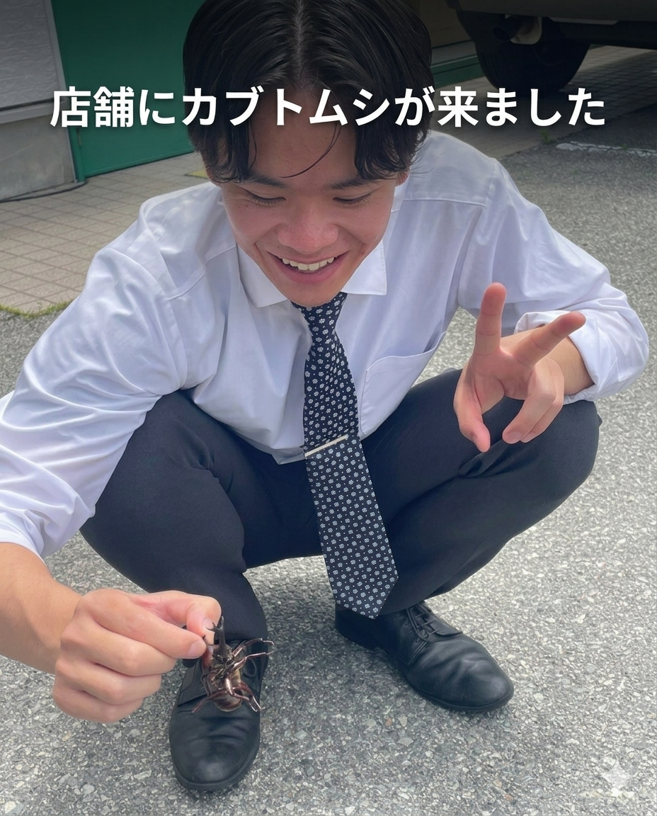 【驚きの珍客！？】ガリバー171箕面店に「カブトムシ」がやってきました！