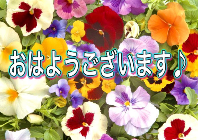 ガリバー富田店！！！おはようございます！富田店スタートです！！