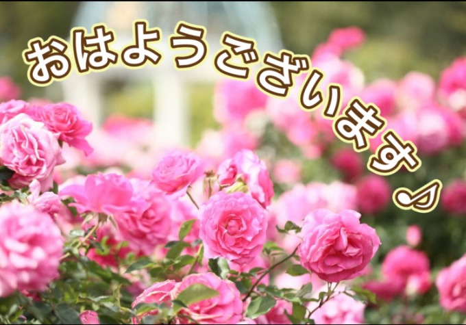 ガリバー富田店！！！おはようございます！富田店スタートです！！