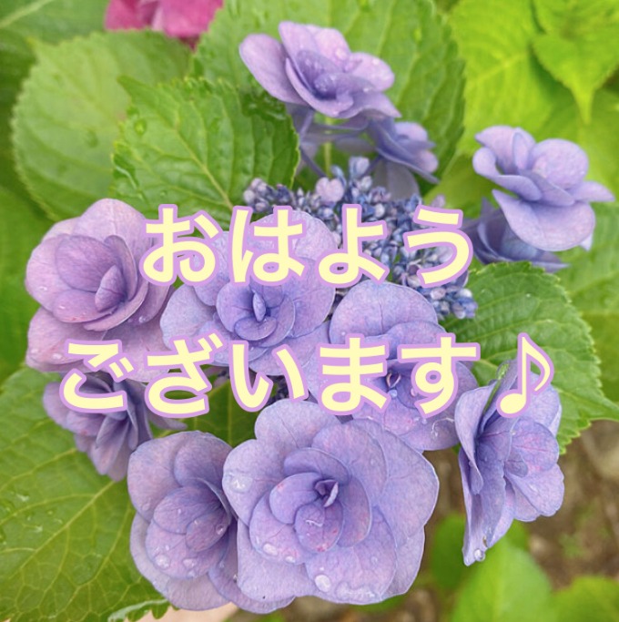 ガリバー富田店！！！おはようございます！富田店スタートです！！