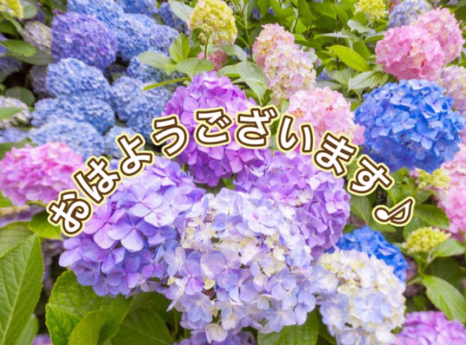 ガリバー富田店！！！おはようございます！富田店スタートです！！