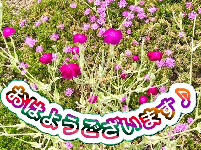 ガリバー富田店！！！おはようございます！富田店スタートです！！