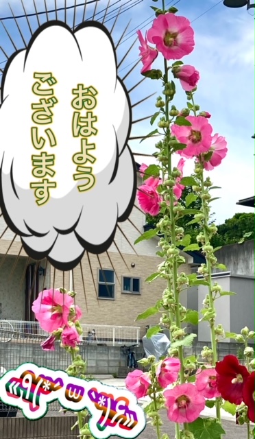 ガリバー富田店！！！おはようございます！富田店スタートです！！