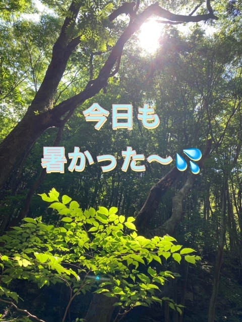 ガリバー富田店！！！本日もありがとうございました♪