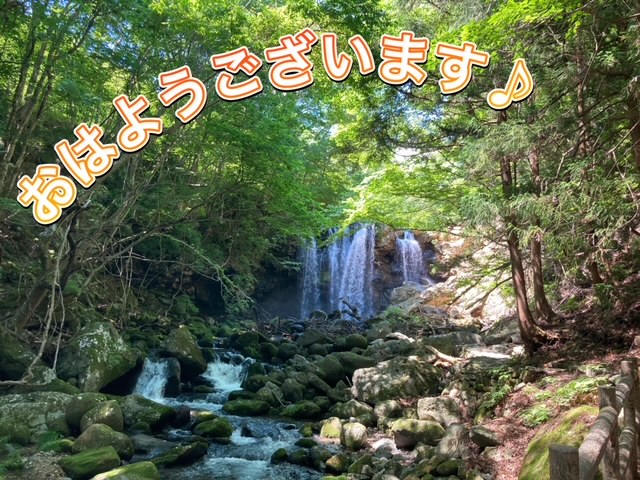 ガリバー富田店！！！おはようございます！富田店スタートです！！