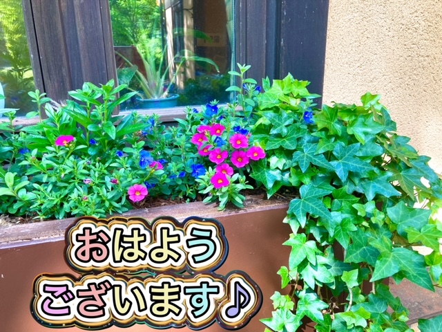 ガリバー富田店！！！おはようございます！富田店スタートです！！