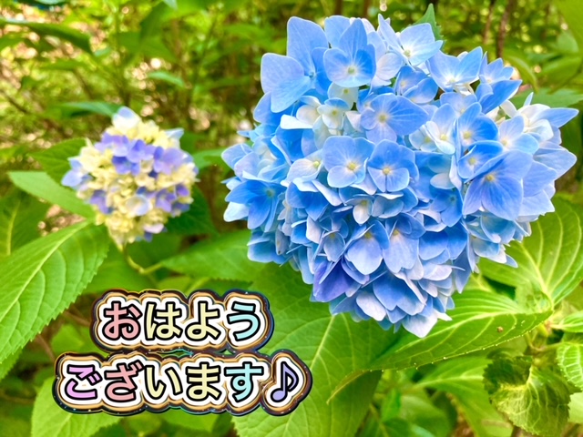 ガリバー富田店！！！おはようございます！富田店スタートです！！