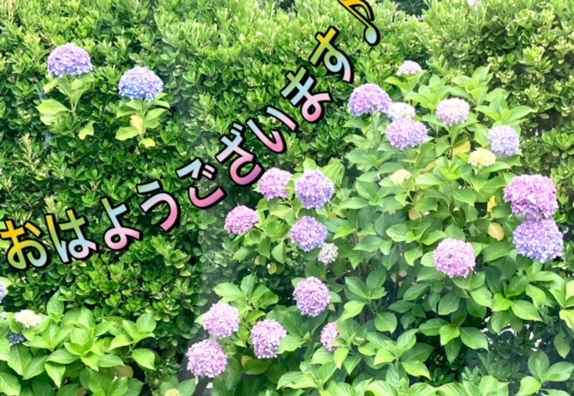 ガリバー富田店！！！おはようございます！富田店スタートです！！