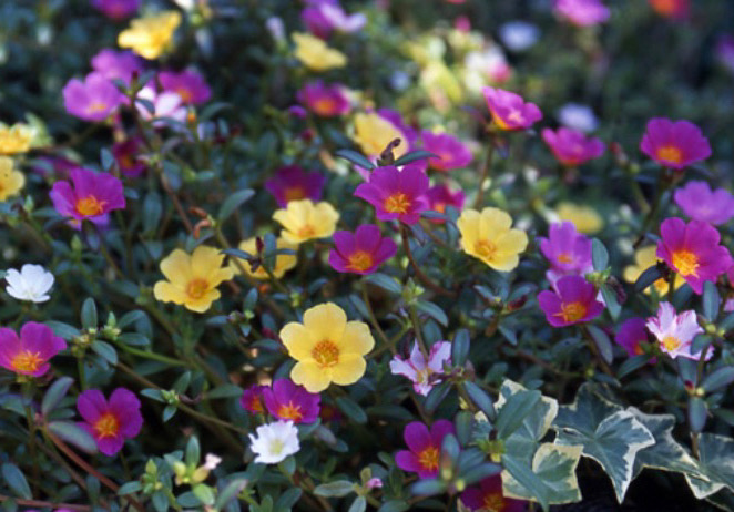 ガリバー富田店！！！おはようございます！富田店スタートです！！