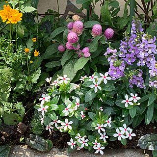 ガリバー富田店！！！おはようございます！富田店スタートです！！