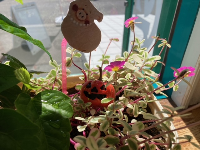 店内ハロウィン♪