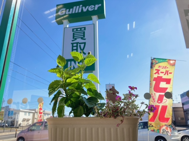 10月定休日のお知らせ!