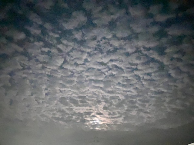 ガリバー富田店!!女心と秋の空!?秋のお天気の移り変わり(*´ω`*)