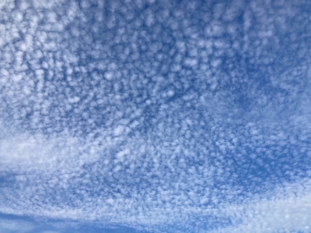 ガリバー富田店！！！おはようございます！富田店スタートです！！