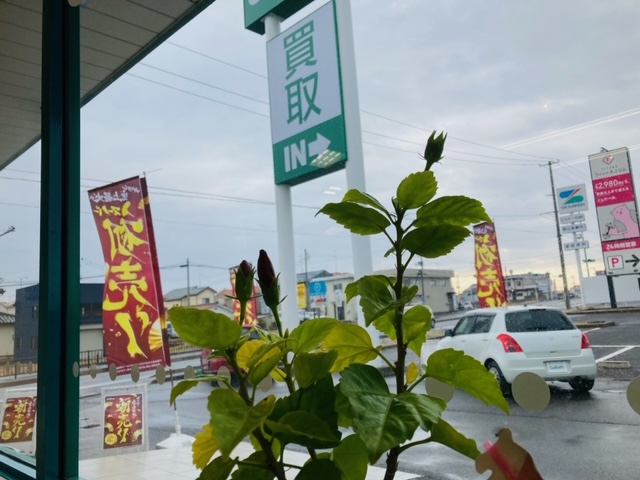 おはようございます！富田店スタートです！＼成人の方／おめでとうございます♪