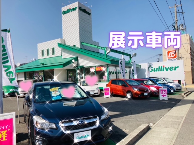 ぽかぽか最高ですなぁ( *´艸｀)