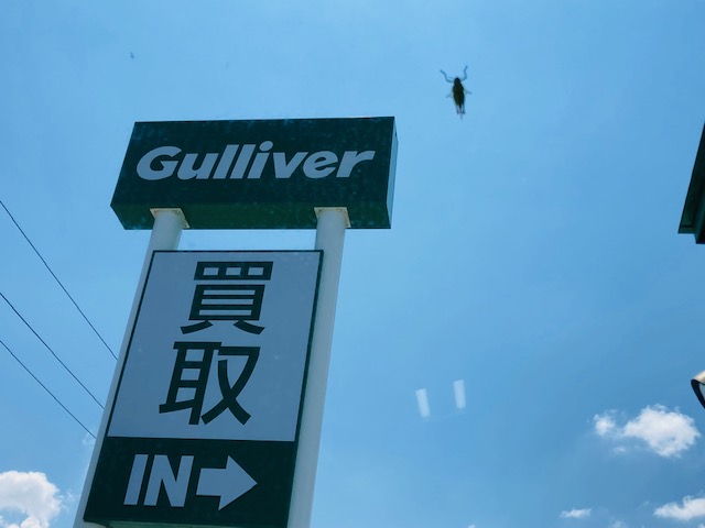 価格変更致しました( *´艸｀)