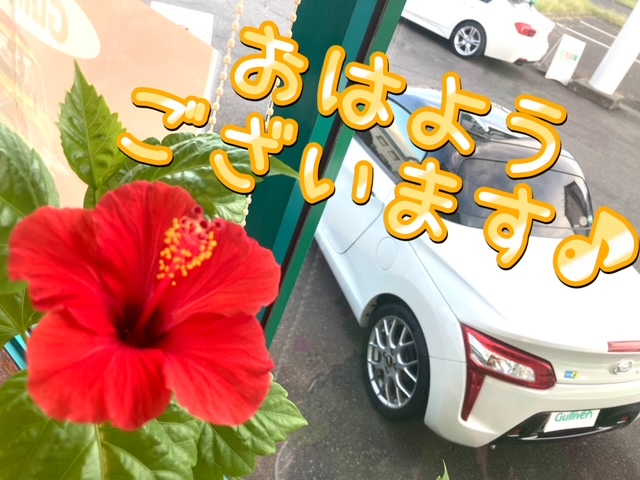 ガリバー富田店！！おはようございます！富田店スタートです！！買取強化中♪
