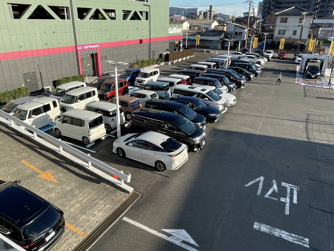 車をたくさん動かしました！