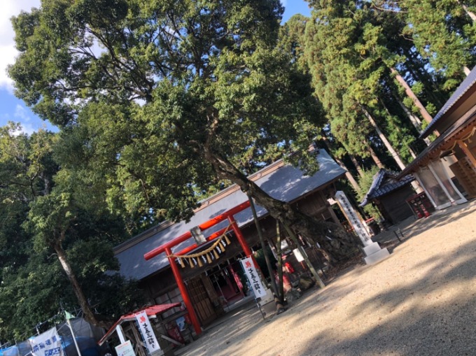 明日から11月が始まります！！！