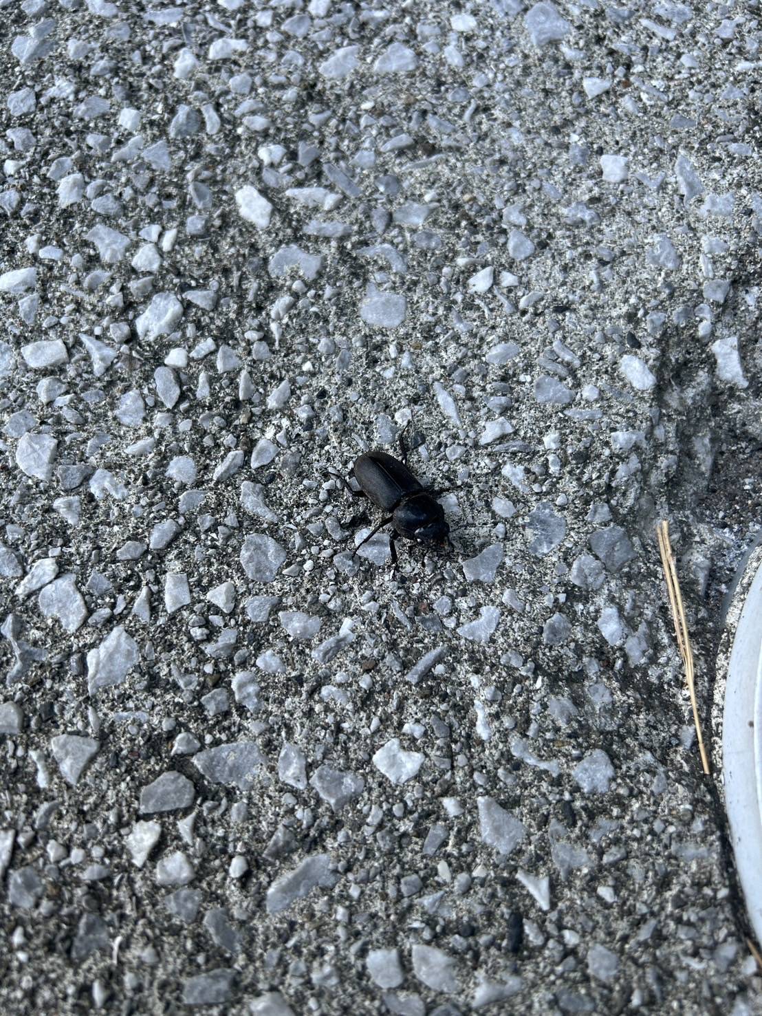 とある日の来客者？？