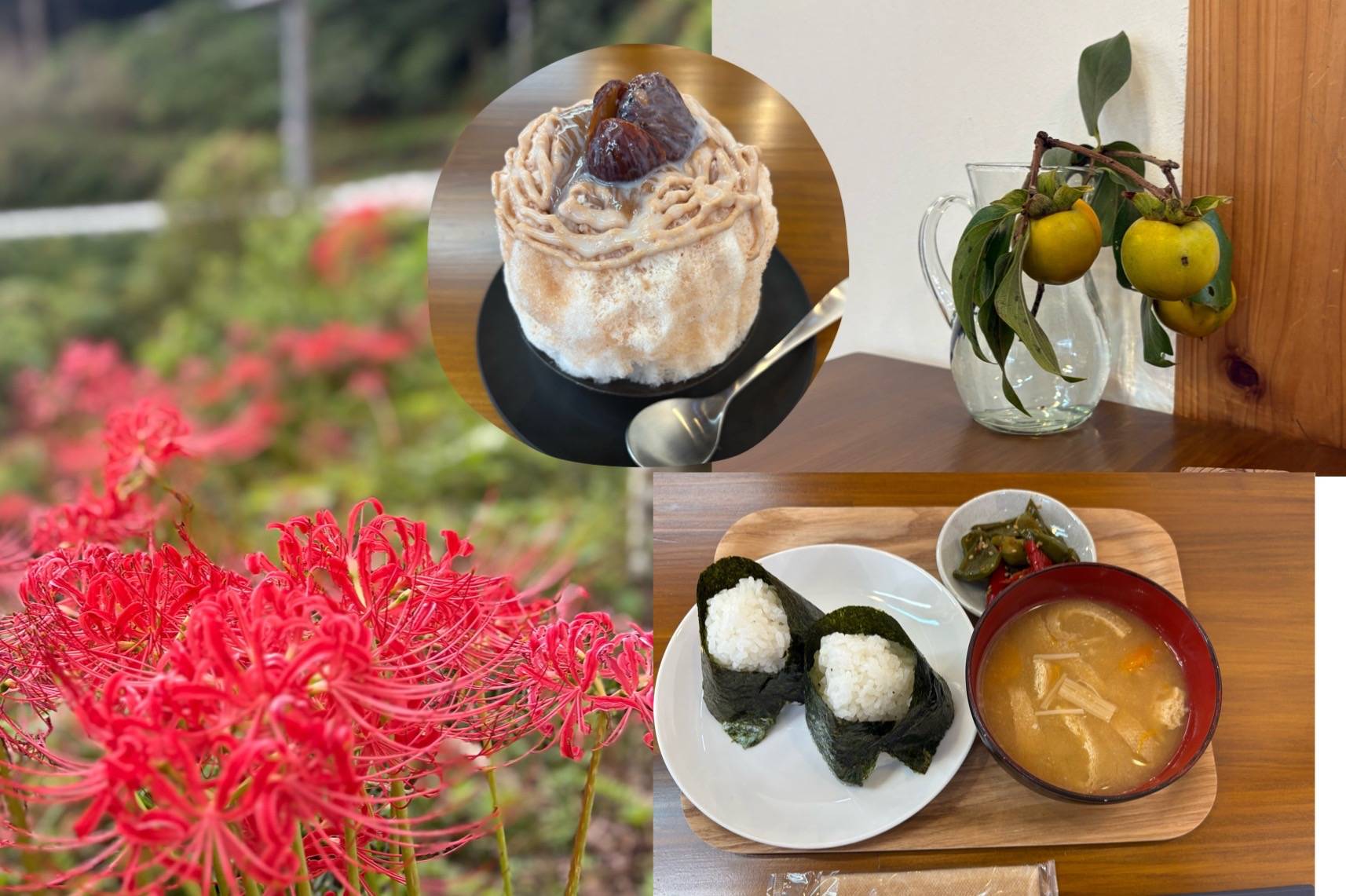 土佐山に行ってました。01