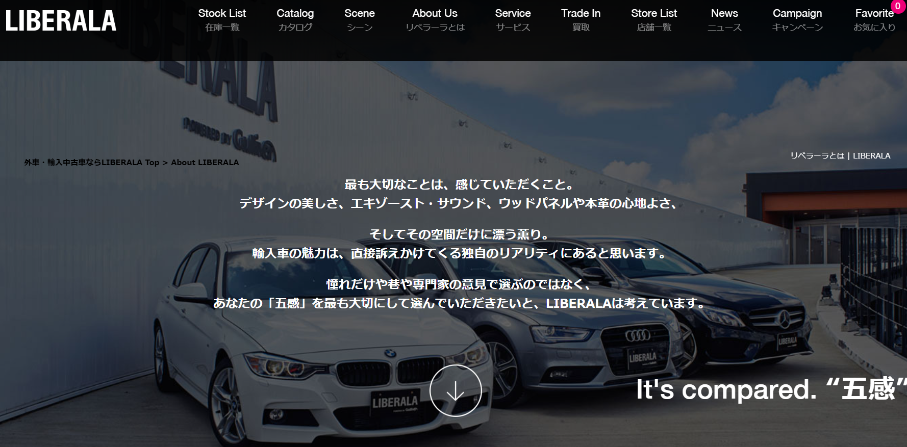 LIBERALAの歴史タイムライン！