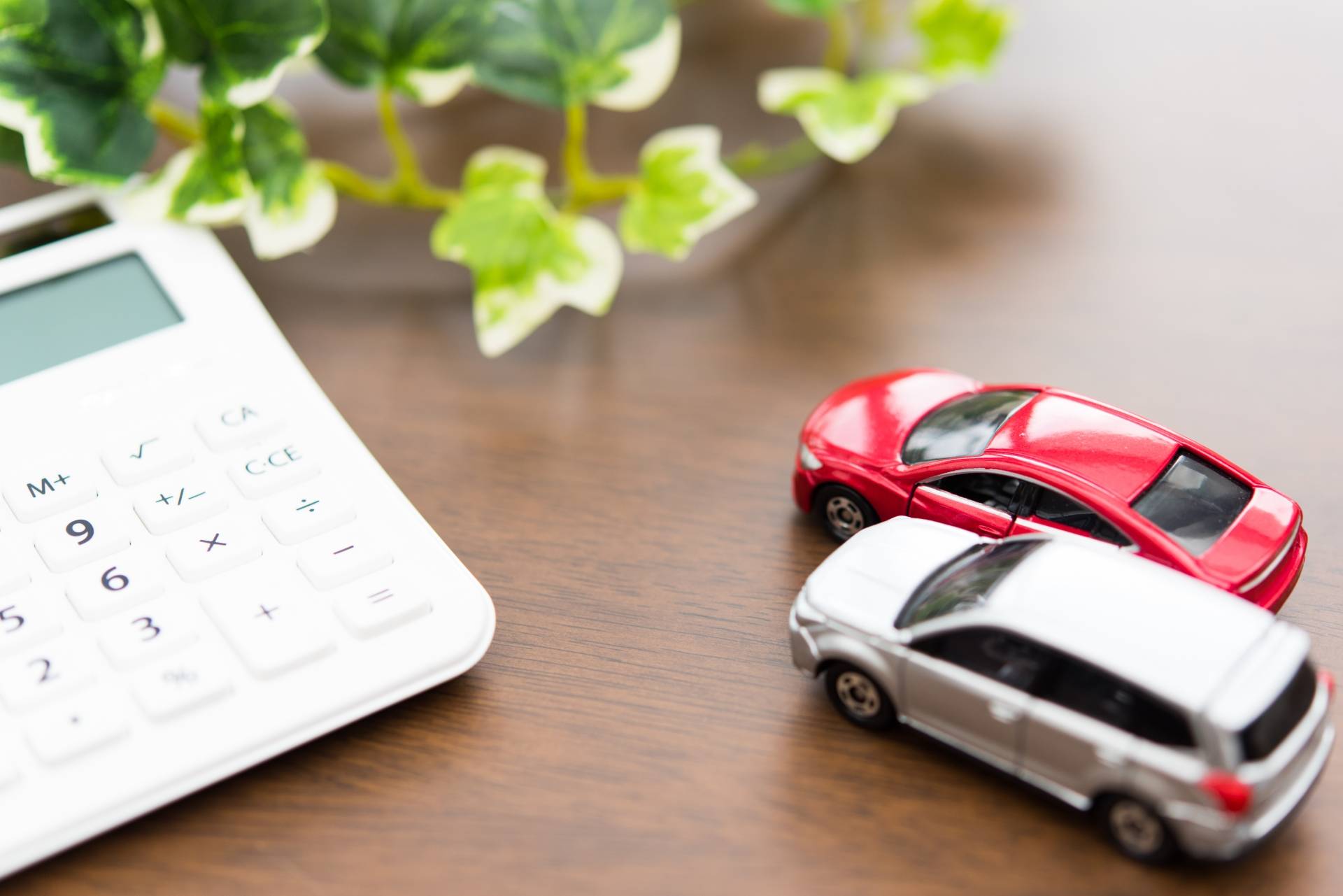 運転免許証の色って何が違うの？ 意外と知らない豆知識！