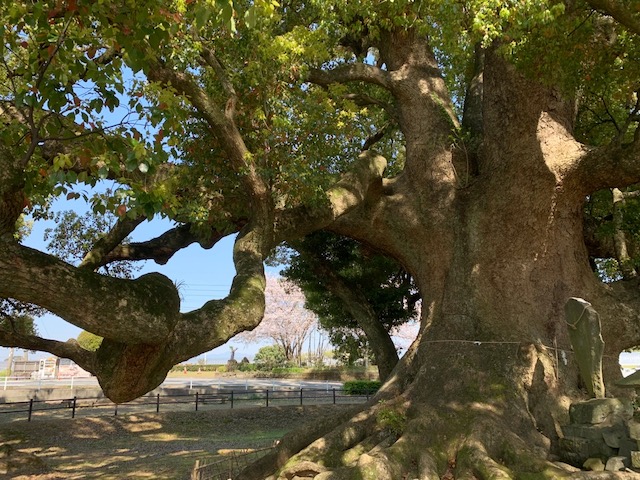 パワースポットに行ってきました！
