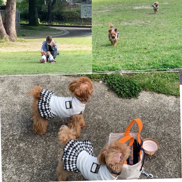 久しぶりに、、、