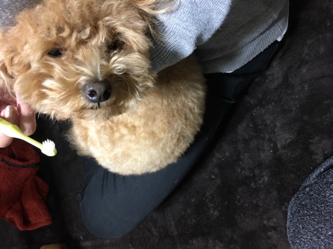 私の趣味は、、、02