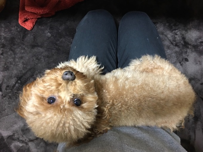 私の趣味は、、、03