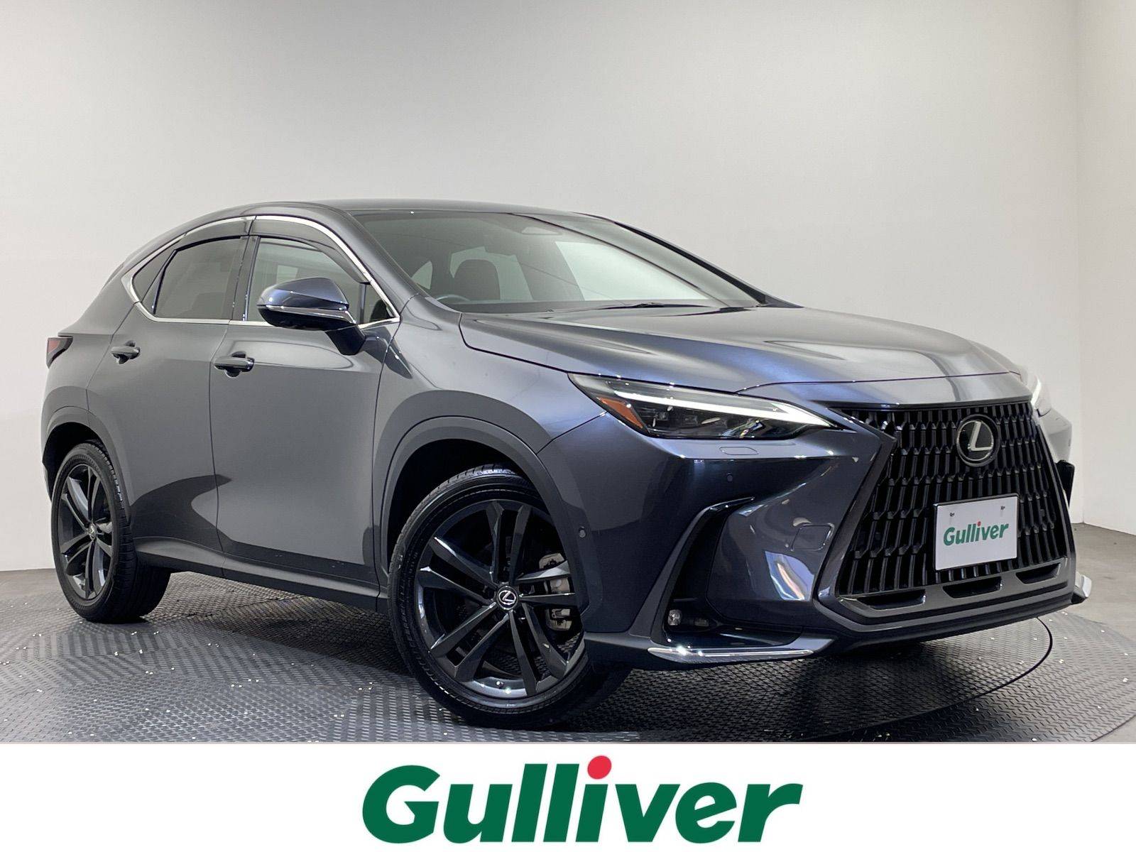 展示車　☆NX350h　バージョンL機能紹介☆01