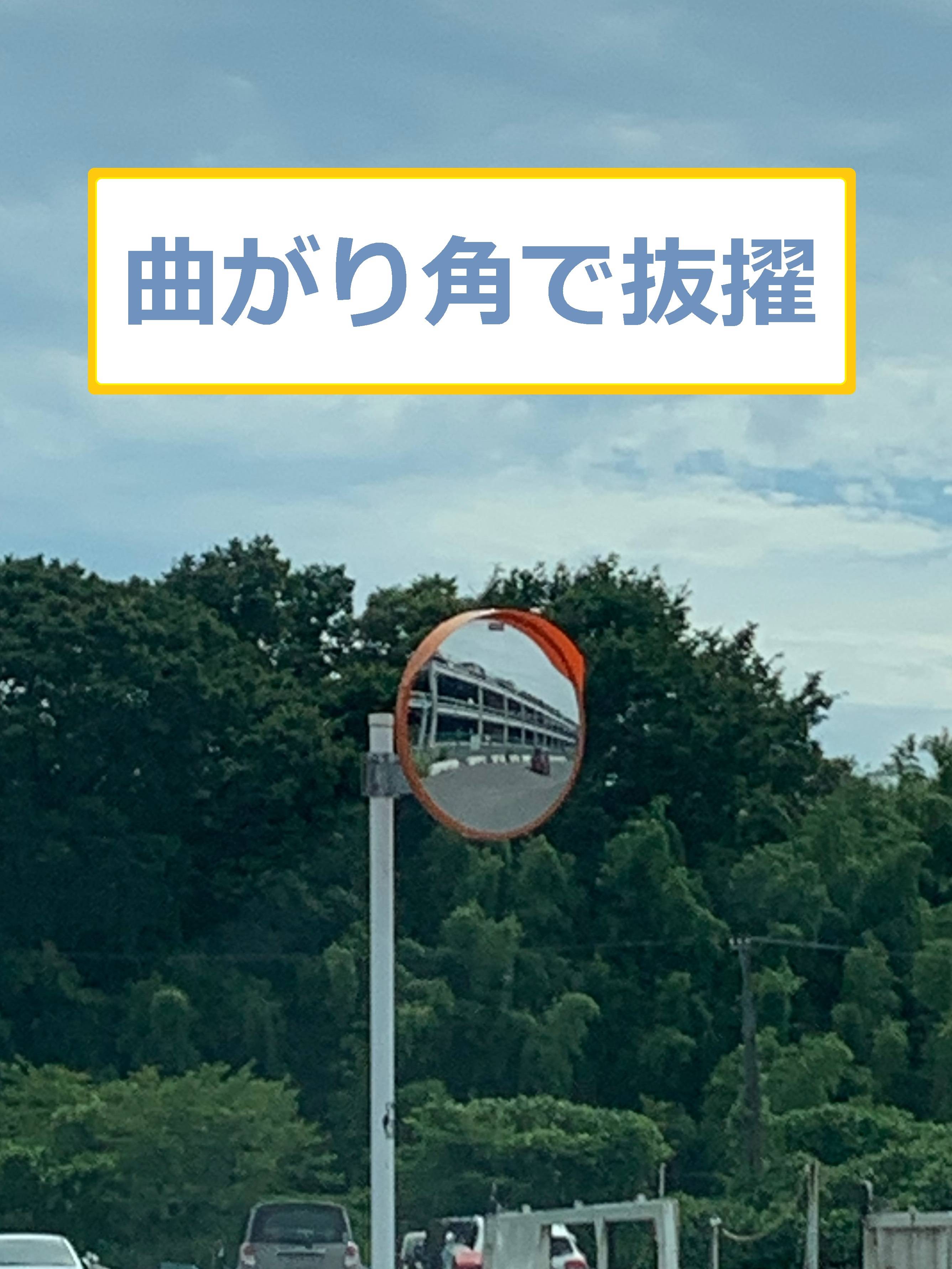 【OPEN】　８月３日（日）営業してます！週末に来てみませんか？
