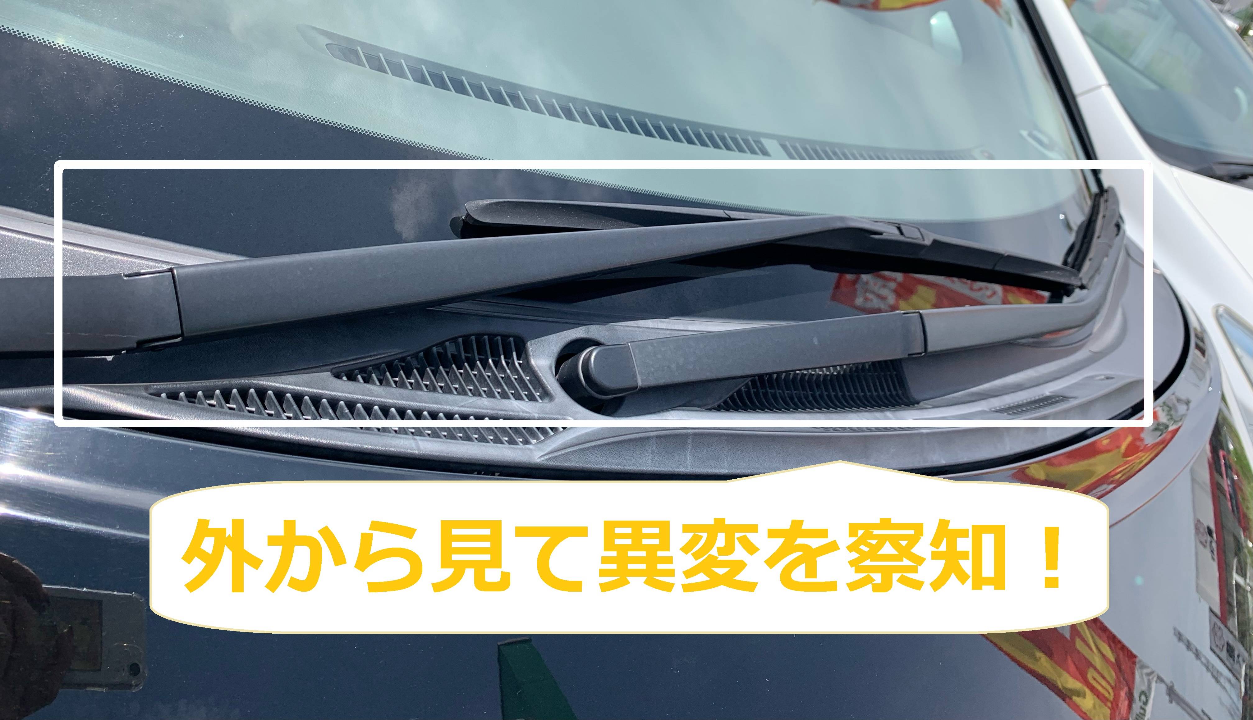 【OPEN】 2月15日(日)営業してます!週末に来てみませんか?01