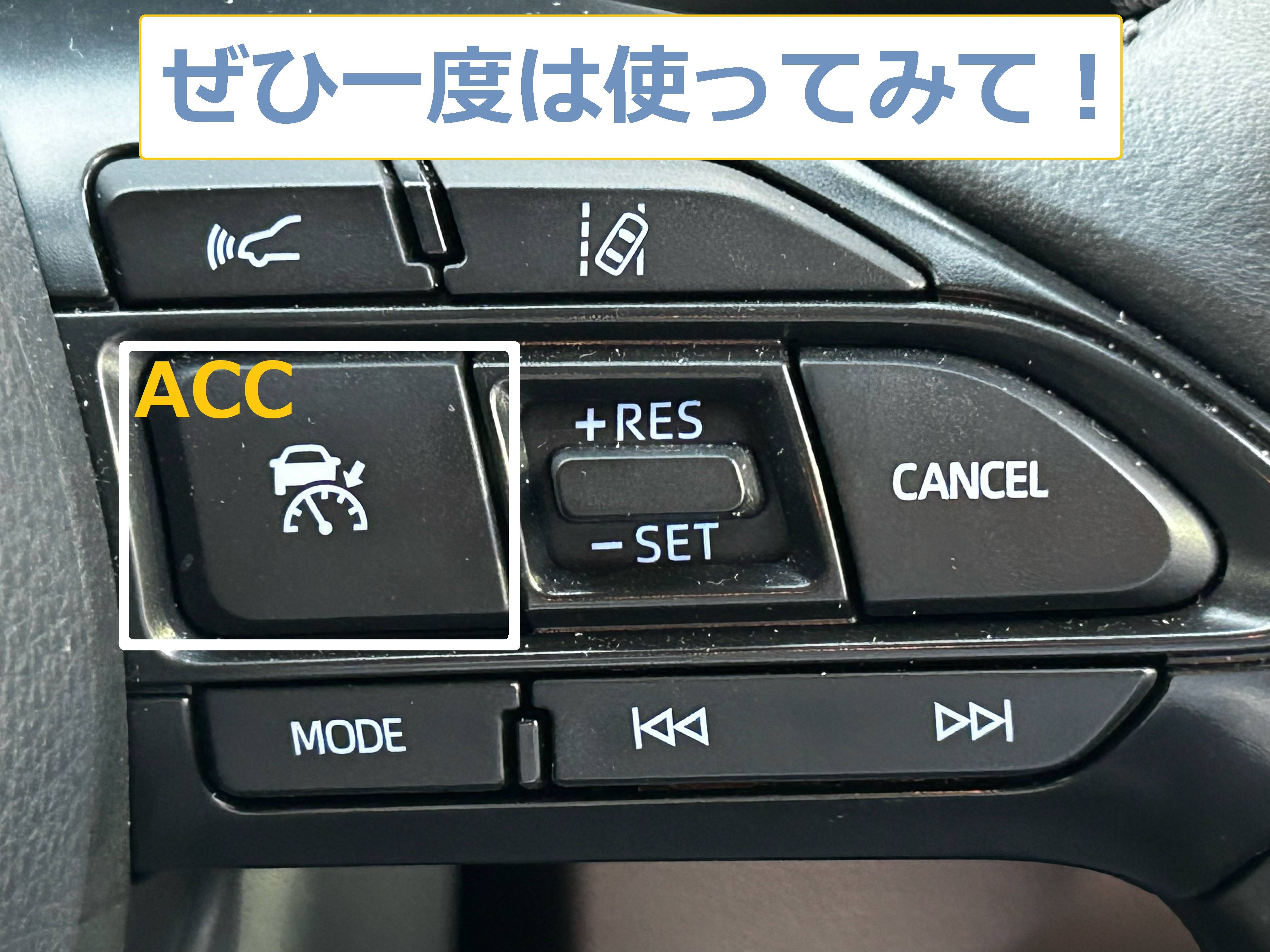 【OPEN】 6月27日(土)週末の営業開始です!01