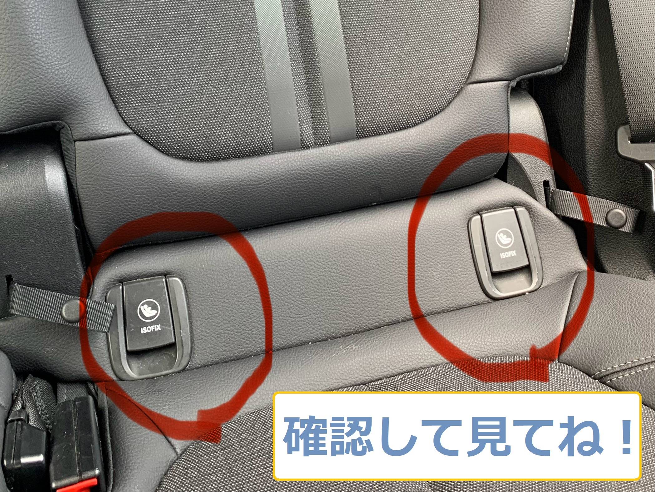 【OPEN】 7月26日(日)営業してます!週末に来てみませんか?