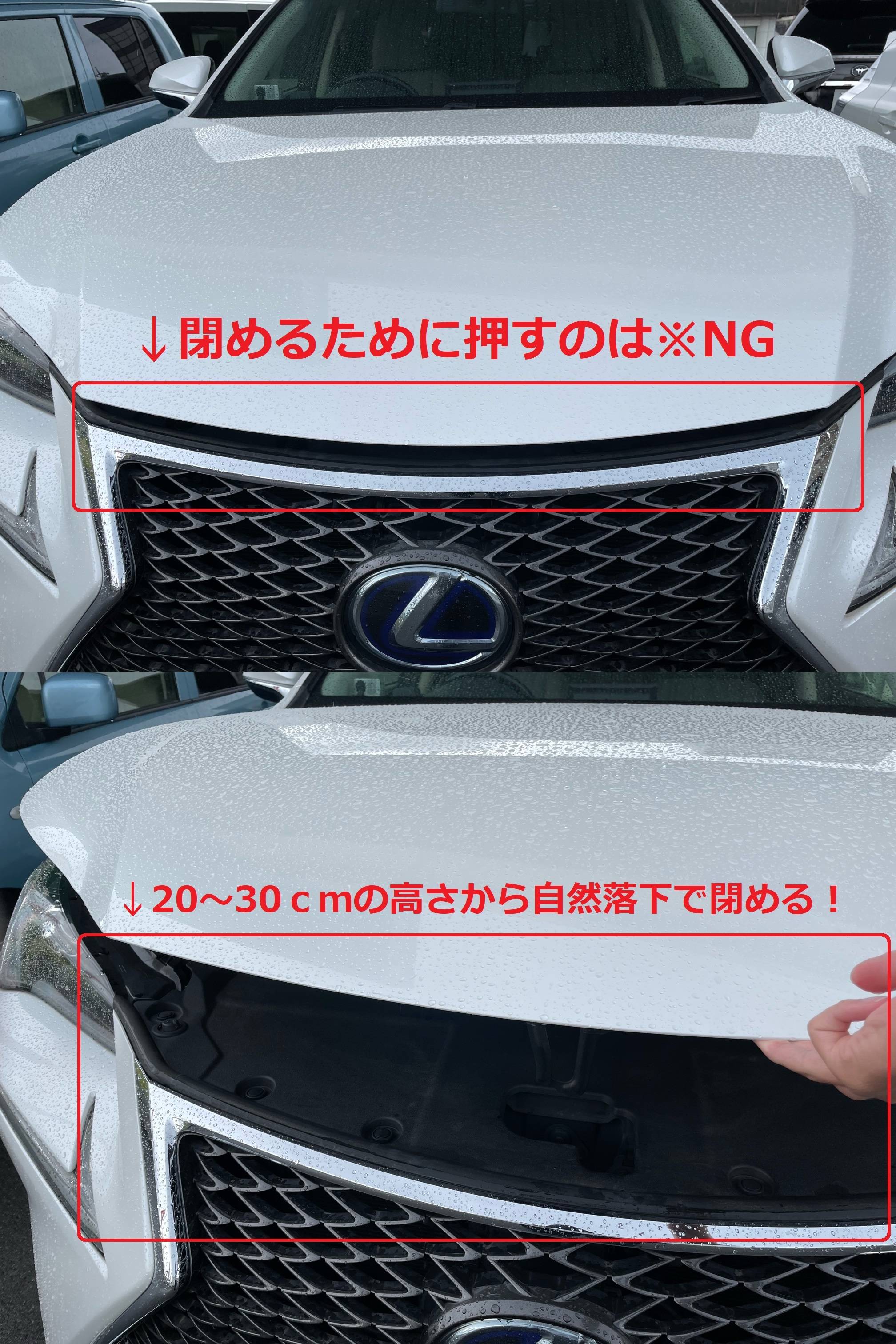 【OPEN】　９月２３日（水）本日も営業スタートです！