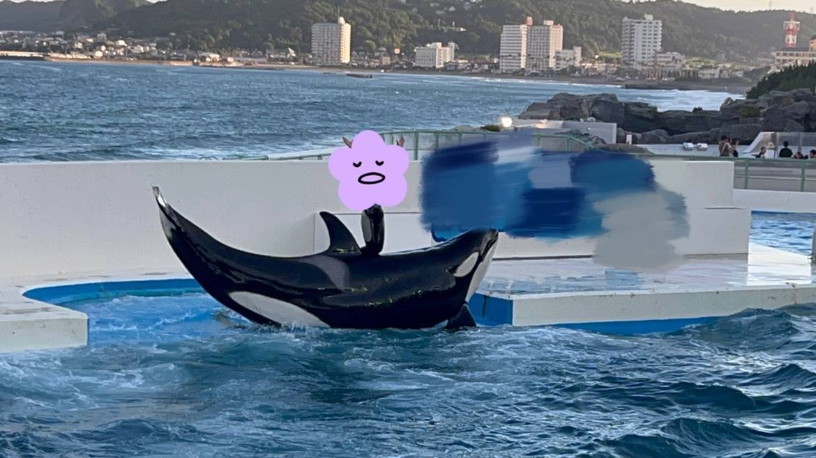 夏といえば！？01